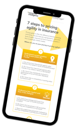 7 steps to pricing agility - Infographic mock up final-1