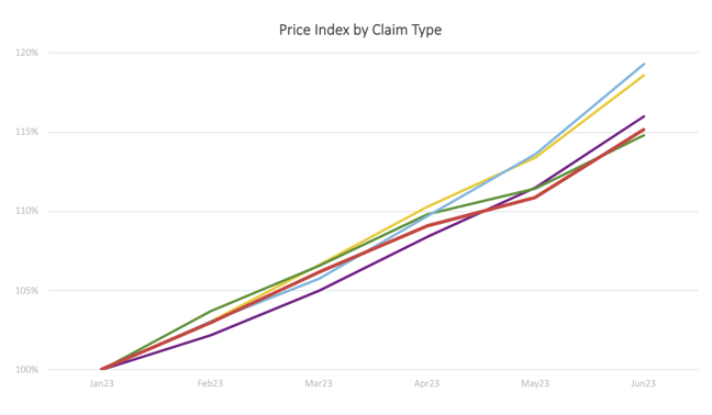 Premium inflation by claims type